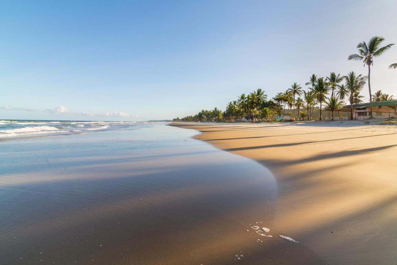 Belissimo Apto A 500M Praias Do Sul Ilhéus Exteriér fotografie